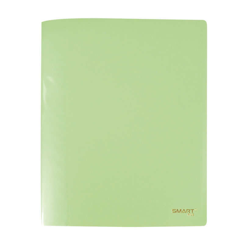 CARPETA PLASTICA CARTA CON PALANCA VERDE PASTEL