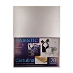 CARTULINA FINA CARTA PLATA C/20HJS 250GRS