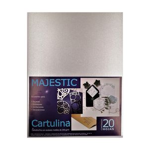 Cartulina Fina Carta Plata C/20Hjs 250Grs 2171
