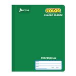 CUADERNO COSIDO PROFESIONAL 100H C-7 NORMA COLOR