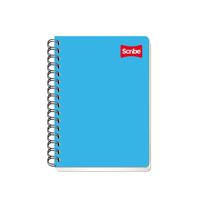 CUADERNO ESPIRAL FRANCES 100H BLANCO CLASICO