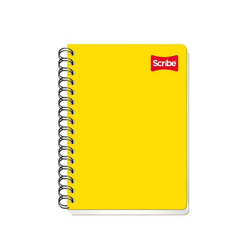 CUADERNO ESPIRAL FRANCES 100H C-5 CLASICO