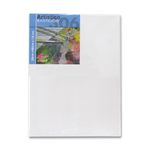 BASTIDOR PROFESIONAL 30X40 CMS