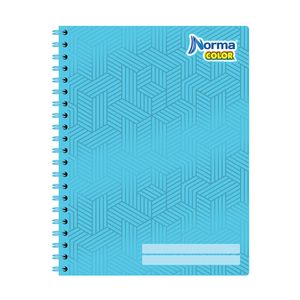 Cuaderno Profesional 100H Blanco Norma Color 532985