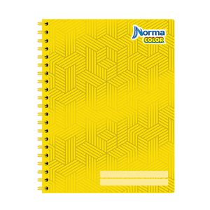 Cuaderno Profesional 100H C-5 Norma Color 520009