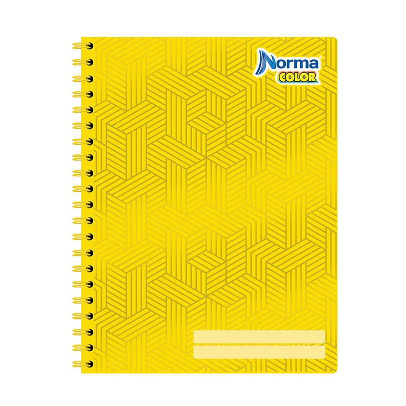 CUADERNO PROFESIONAL 100H C-5 NORMA COLOR