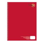 CUADERNO PROFESIONAL 100H C-5 SWING COOL