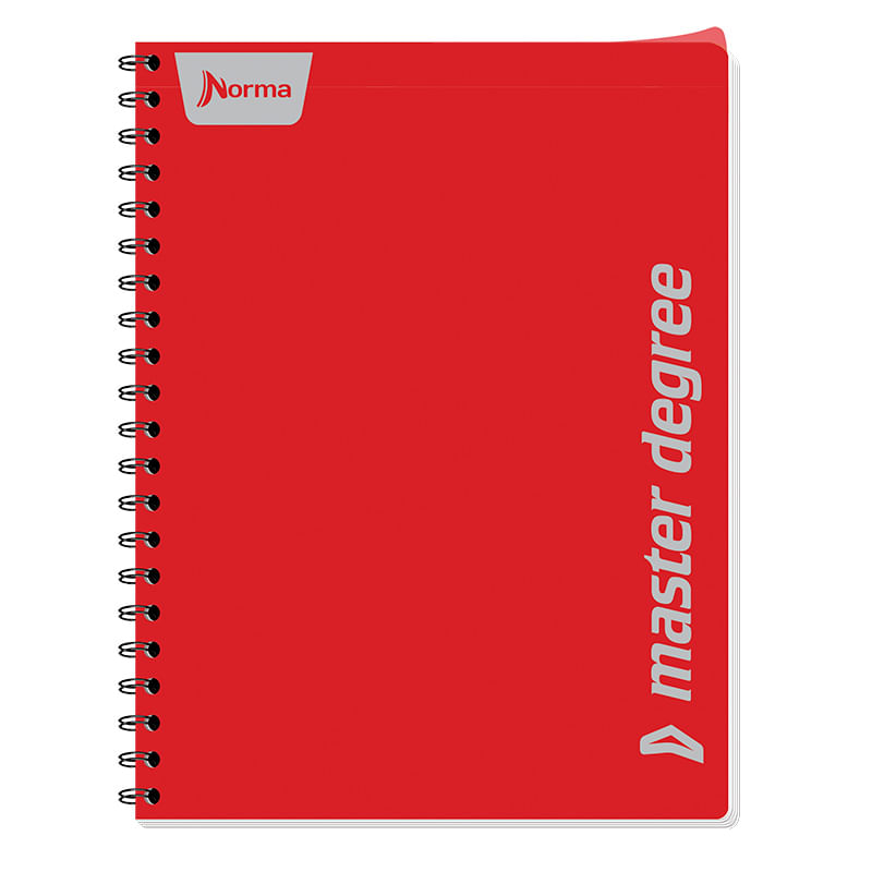 CUADERNO PROFESIONAL 100H RAYA MASTER DEGREE