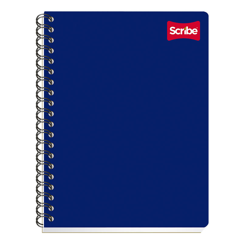 CUADERNO PROFESIONAL 100H RAYAS CLASICO