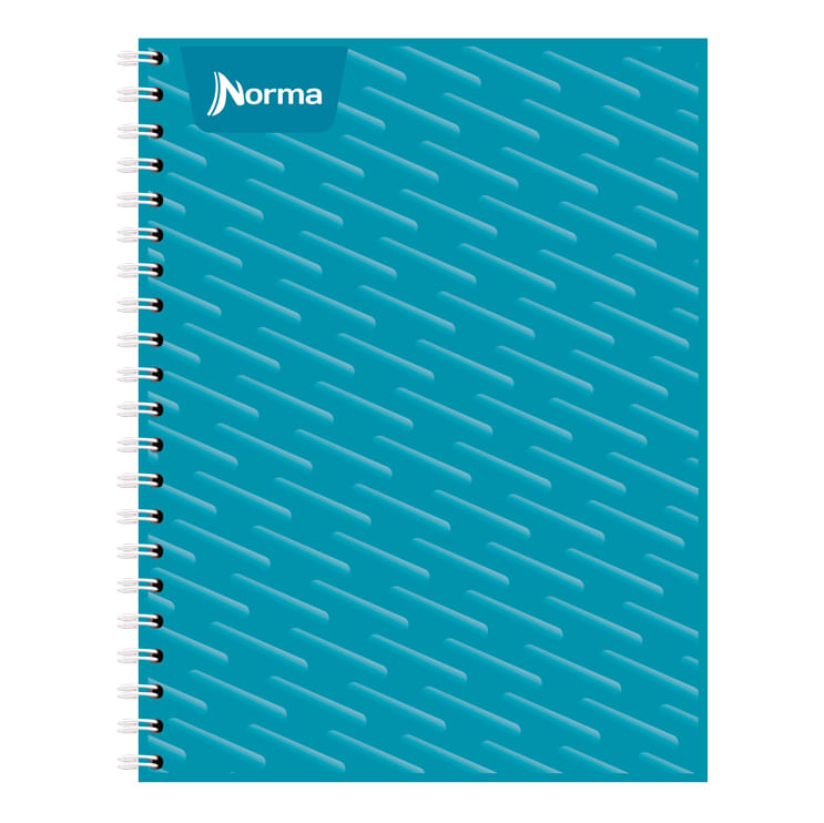CUADERNO PROFESIONAL 100H RAYAS UNICOLOR