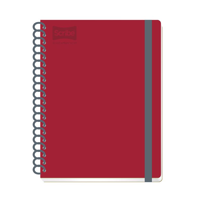 CUADERNO PROFESIONAL 200H RAYAS CON LIGA EXCELLENCE PD