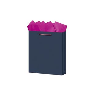 Bolsa Regalo Chica Kraft Colores 9120015902