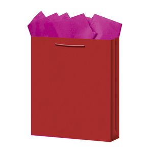Bolsa Regalo Grande Kraft Colores 9120135902