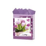 BOLSA REGALO MEDIANA DAMA