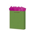BOLSA REGALO MEDIANA KRAFT COLORES