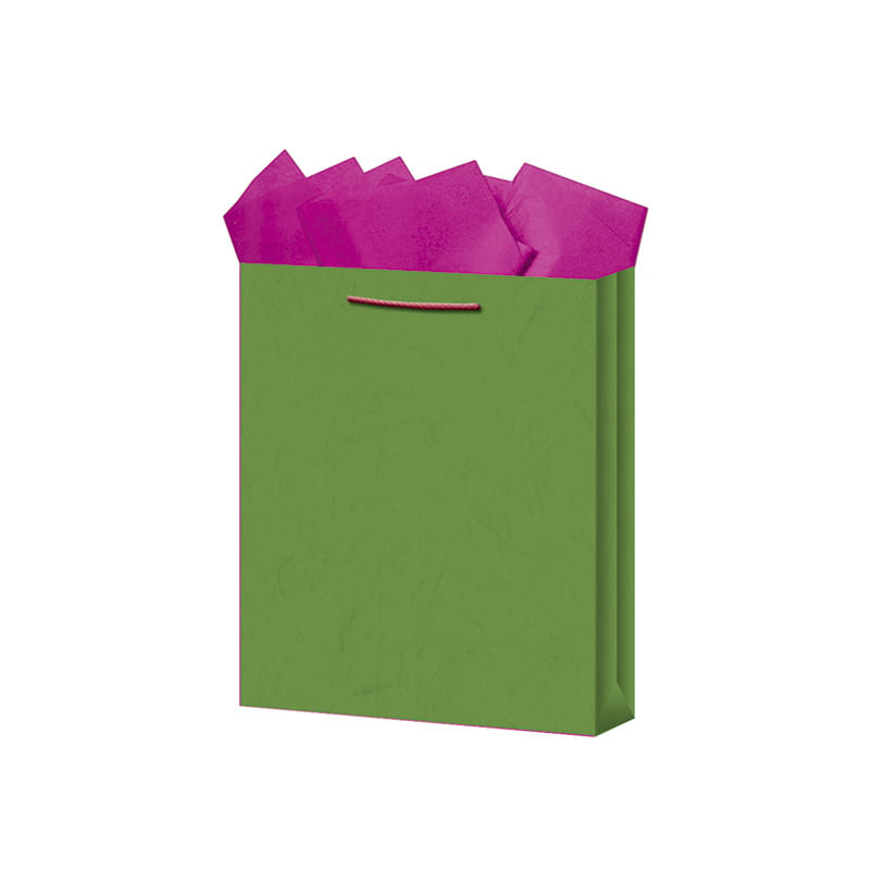 BOLSA REGALO MEDIANA KRAFT COLORES
