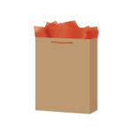 BOLSA REGALO MEDIANA KRAFT COLORES WOW