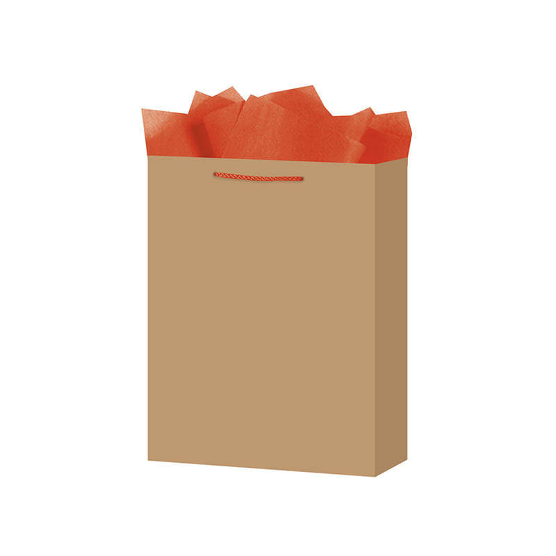 BOLSA REGALO MEDIANA KRAFT COLORES WOW