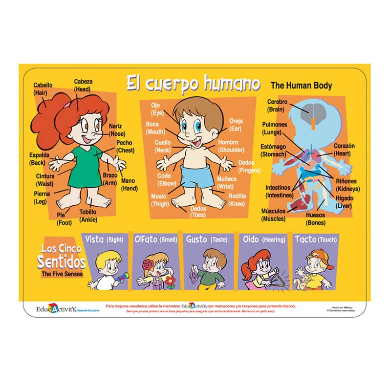 TAPETE EDUCATIVO EL CUERPO HUMANO