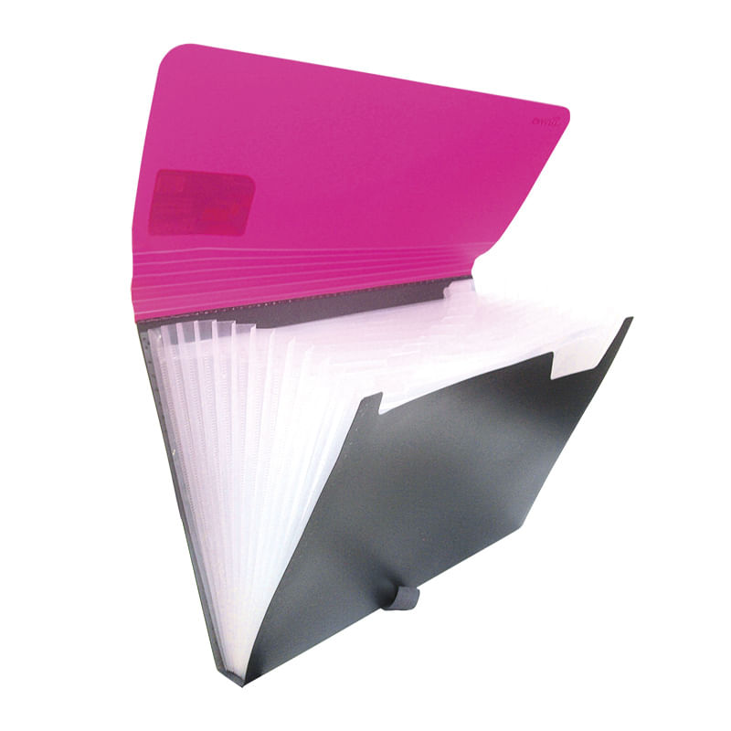 ARCHIFUELLE OFICIO 13SEP CON LIGA COLORES NEON