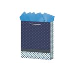 BOLSA REGALO CHICA CABALLERO