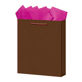 BOLSA REGALO CHICA KRAFT COLORES