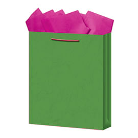 BOLSA REGALO CHICA KRAFT COLORES