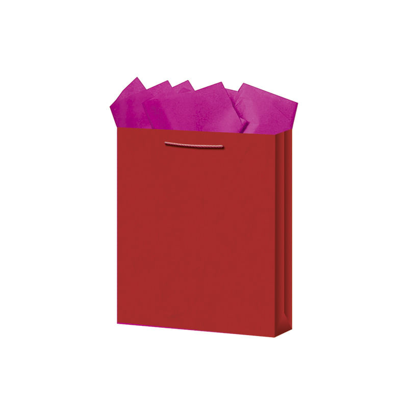 BOLSA REGALO CHICA KRAFT COLORES
