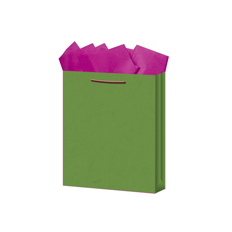 BOLSA REGALO CHICA KRAFT COLORES