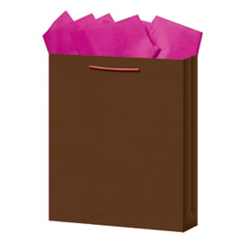 BOLSA REGALO MEDIANA KRAFT COLORES