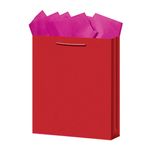BOLSA REGALO MEDIANA KRAFT COLORES