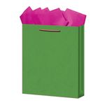 BOLSA REGALO MEDIANA KRAFT COLORES
