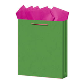 BOLSA REGALO MEDIANA KRAFT COLORES