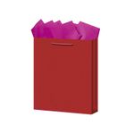 BOLSA REGALO MEDIANA KRAFT COLORES