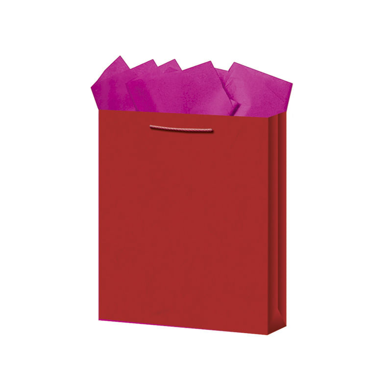 BOLSA REGALO MEDIANA KRAFT COLORES