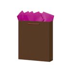 BOLSA REGALO MEDIANA KRAFT COLORES