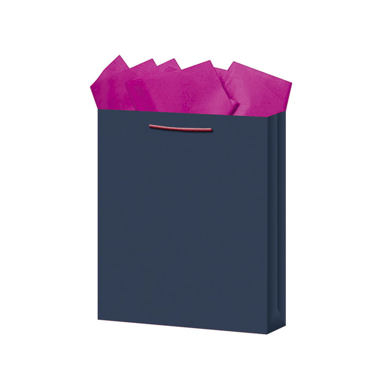 BOLSA REGALO MEDIANA KRAFT COLORES