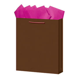 BOLSA REGALO GRANDE KRAFT COLORES