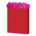 BOLSA REGALO GRANDE KRAFT COLORES