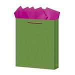 BOLSA REGALO GRANDE KRAFT COLORES