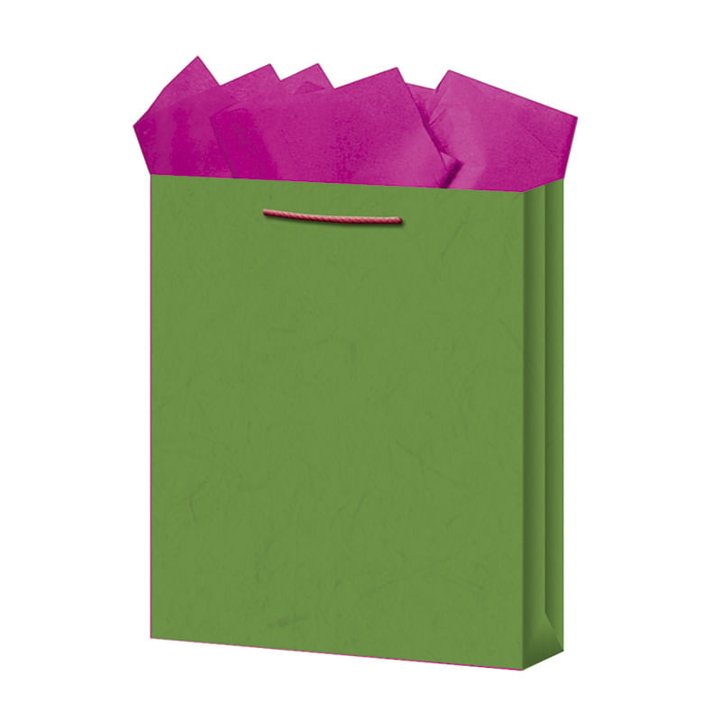 BOLSA REGALO GRANDE KRAFT COLORES
