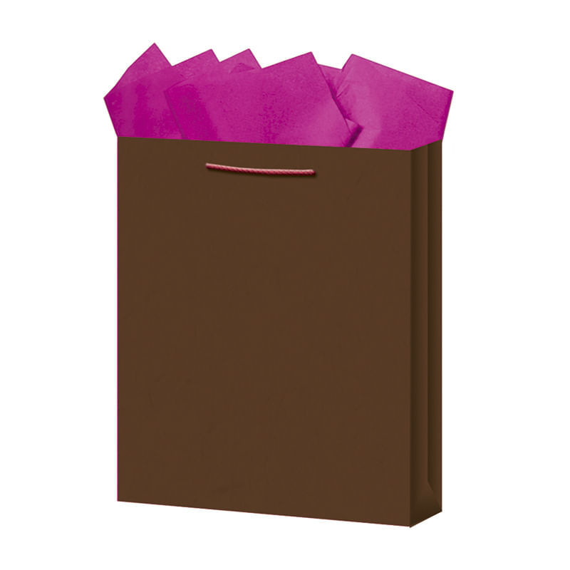 BOLSA REGALO GRANDE KRAFT COLORES