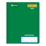 CUADERNO COSIDO PROFESIONAL 100H RAYAS NORMA COLOR