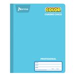 CUADERNO COSIDO PROFESIONAL 100H C-5 NORMA COLOR