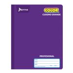 CUADERNO COSIDO PROFESIONAL 100H C-7 NORMA COLOR