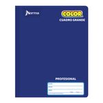 CUADERNO COSIDO PROFESIONAL 100H C-7 NORMA COLOR