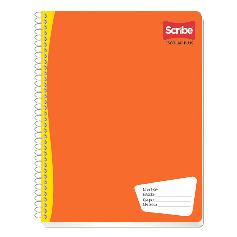 CUADERNO PROFESIONAL 100H RAYAS ESCOLAR