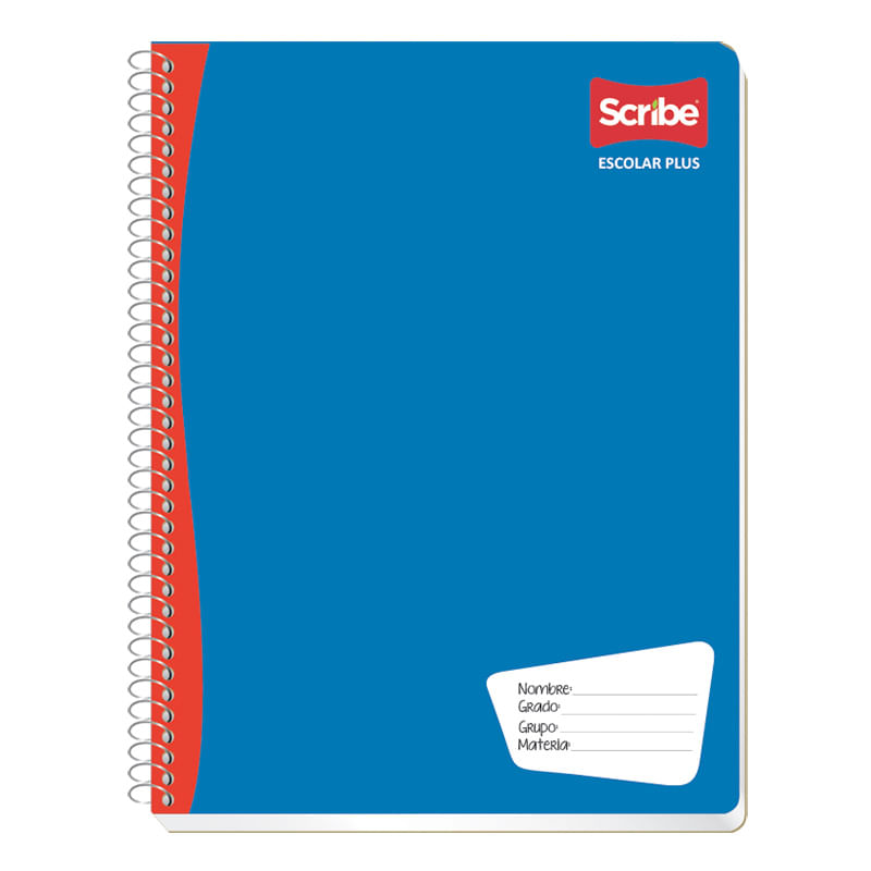 CUADERNO PROFESIONAL 100H C-5 ESCOLAR