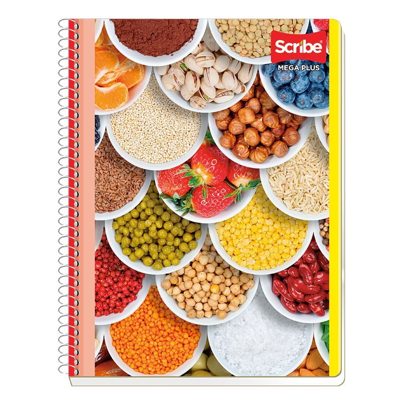 CUADERNO-PROFESIONAL-100H-RAYAS-MEGA