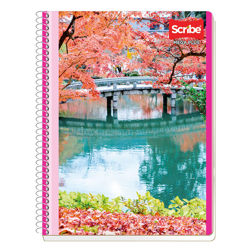 CUADERNO-PROFESIONAL-100H-C-5-MEGA